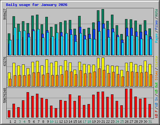 Daily usage for January 2026