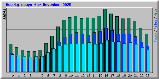 Hourly usage for November 2025
