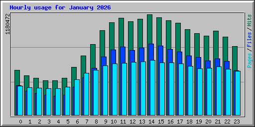 Hourly usage for January 2026