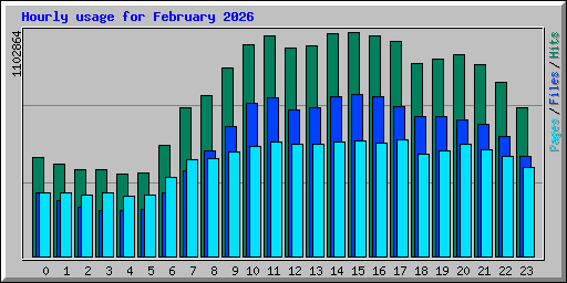 Hourly usage for February 2026